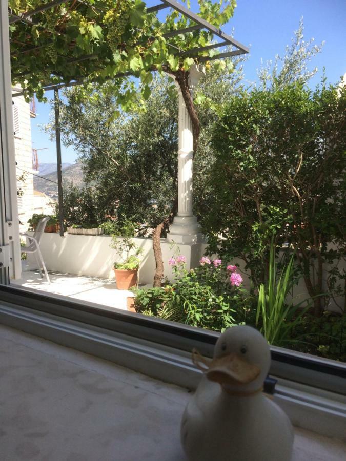 Apartman Vitis Dubrovnik Eksteriør bilde